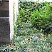 Gartenpflege Vorher
