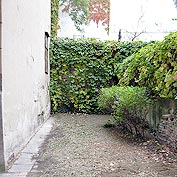 Gartenpflege Nachher