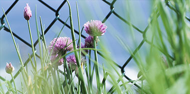 Gartenpflege 1220